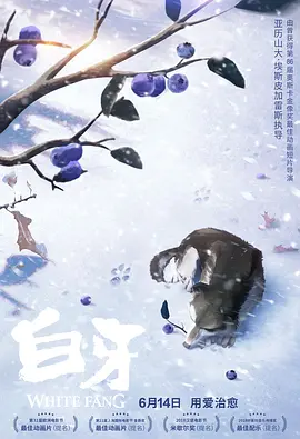 小李财经视角